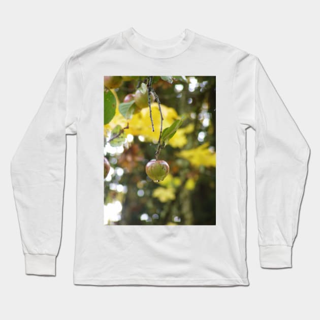 Autumn Sun rays #9, raindrops on apple Long Sleeve T-Shirt by DlmtleArt